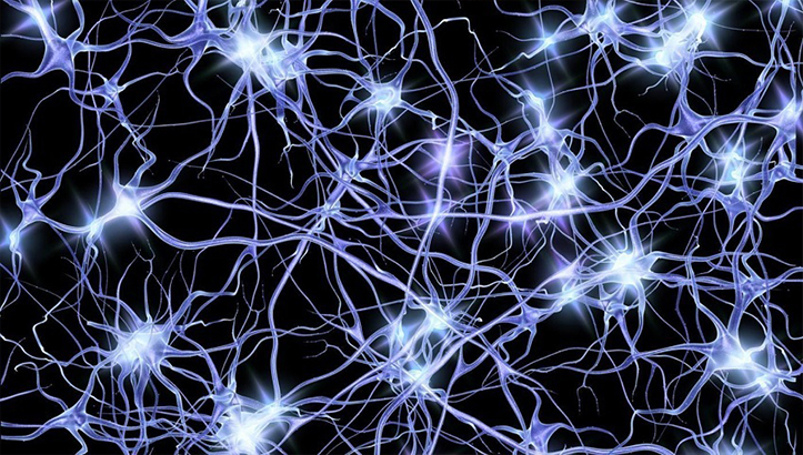Что такое нейросети и что с ними делать? - InfoCity