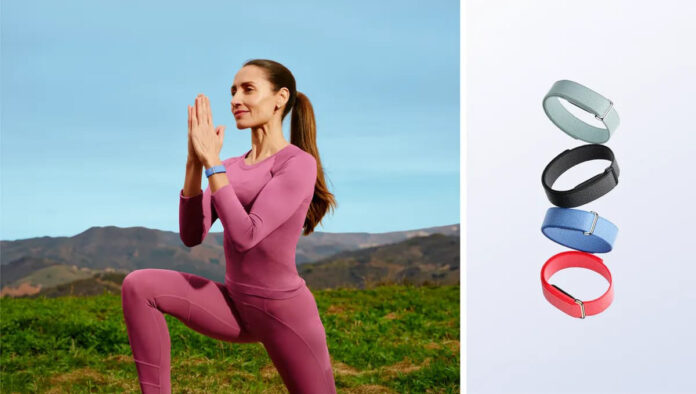 Google Fitbit Air