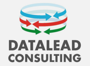 Логотип DataLead Consulting
